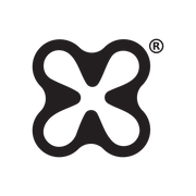 "X" Minimal Logo